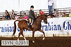 13yn_02911 proof