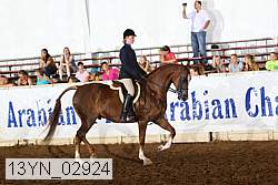 13yn_02924 proof