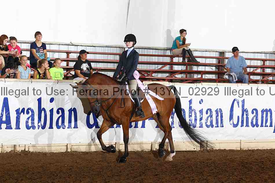 Proof 13yn_02929
