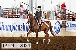 13yn_02931 proof