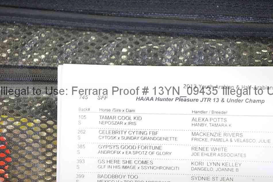 Proof 13yn_09435
