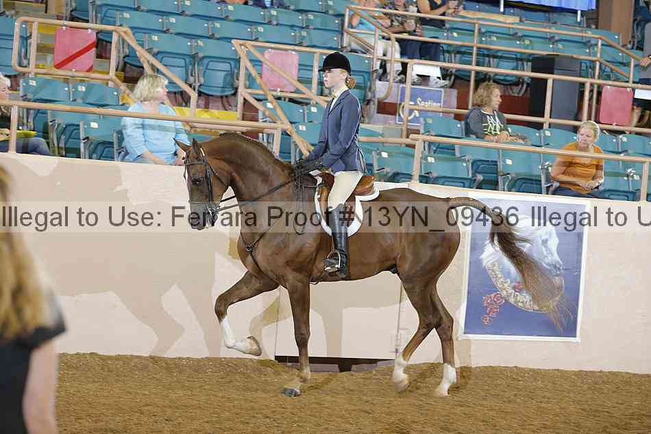 Proof 13yn_09436
