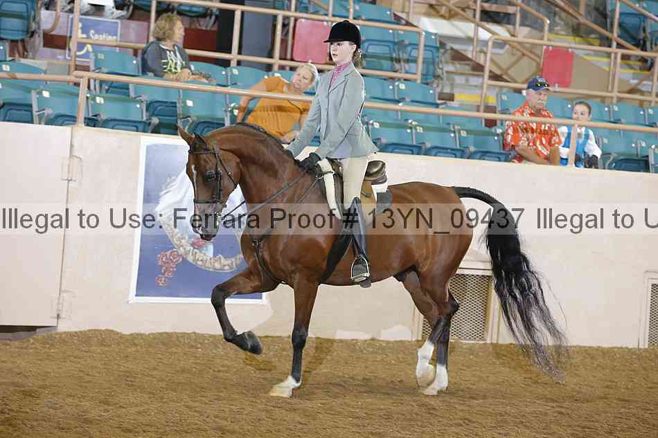 Proof 13yn_09437
