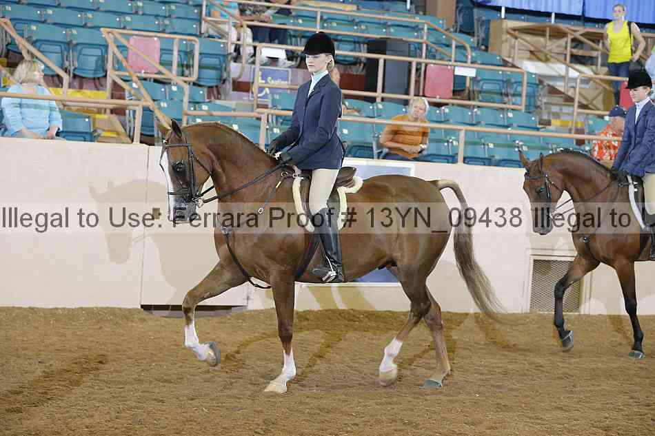 Proof 13yn_09438