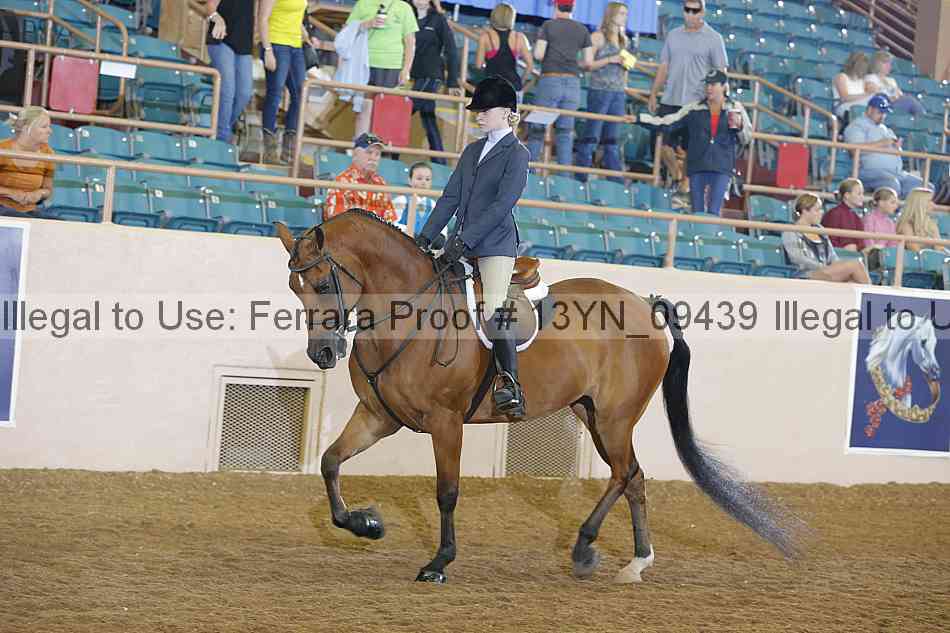 Proof 13yn_09439