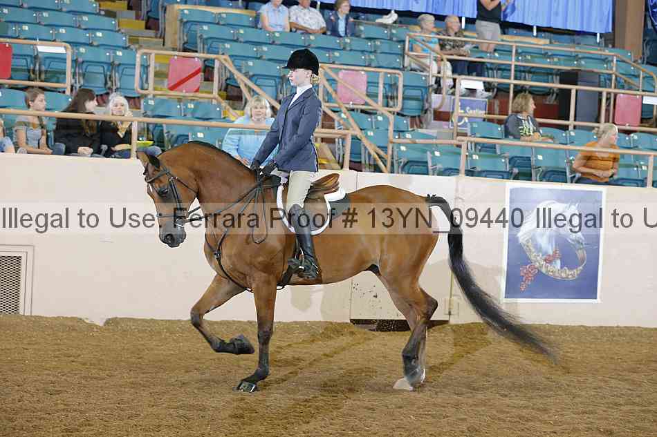 Proof 13yn_09440