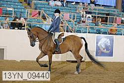 13yn_09440 proof