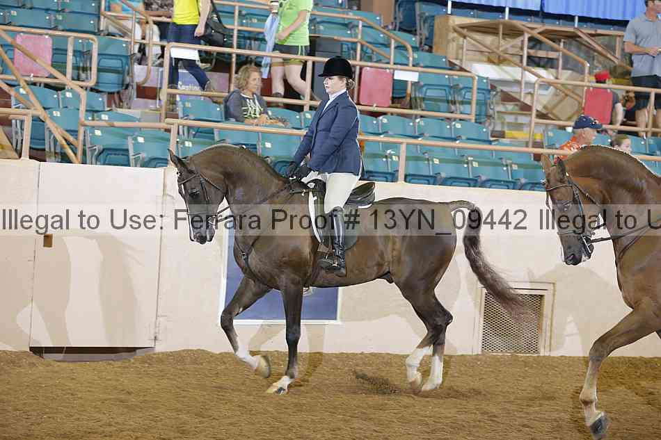 Proof 13yn_09442