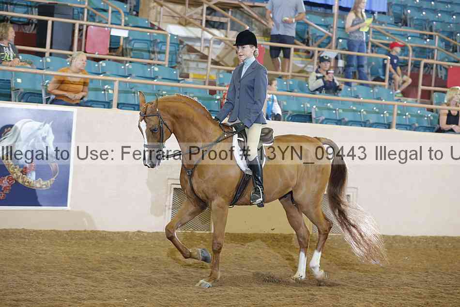 Proof 13yn_09443