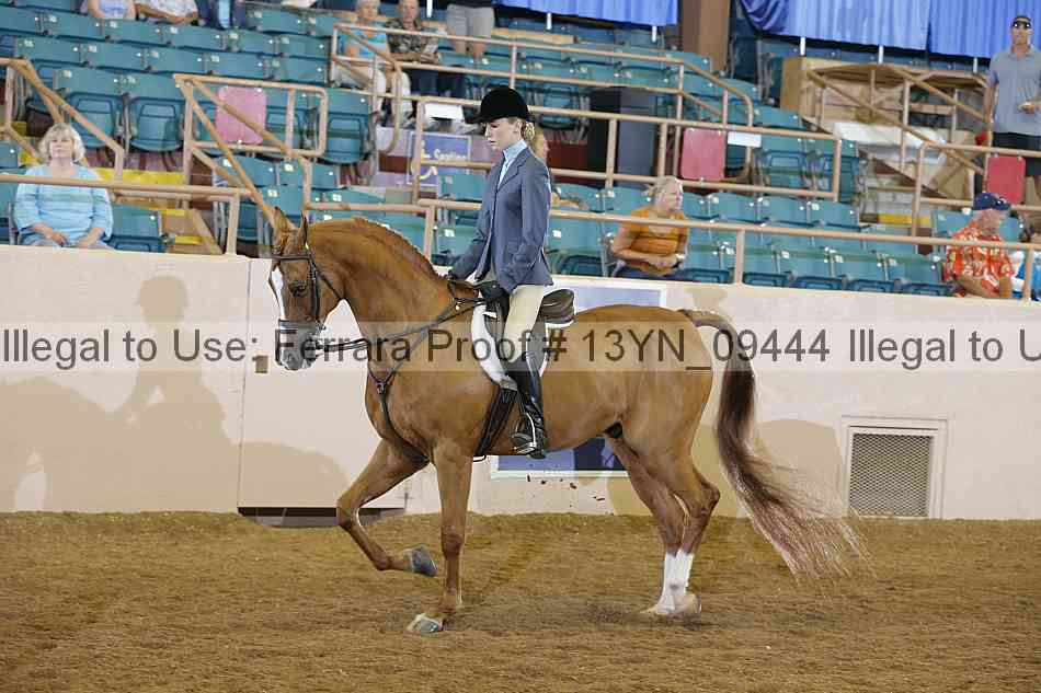Proof 13yn_09444