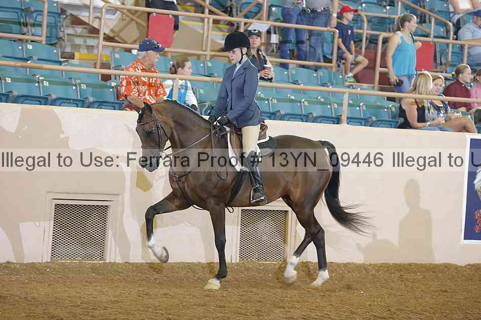 Proof 13yn_09446
