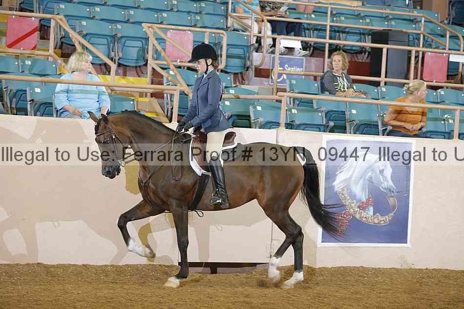 Proof 13yn_09447