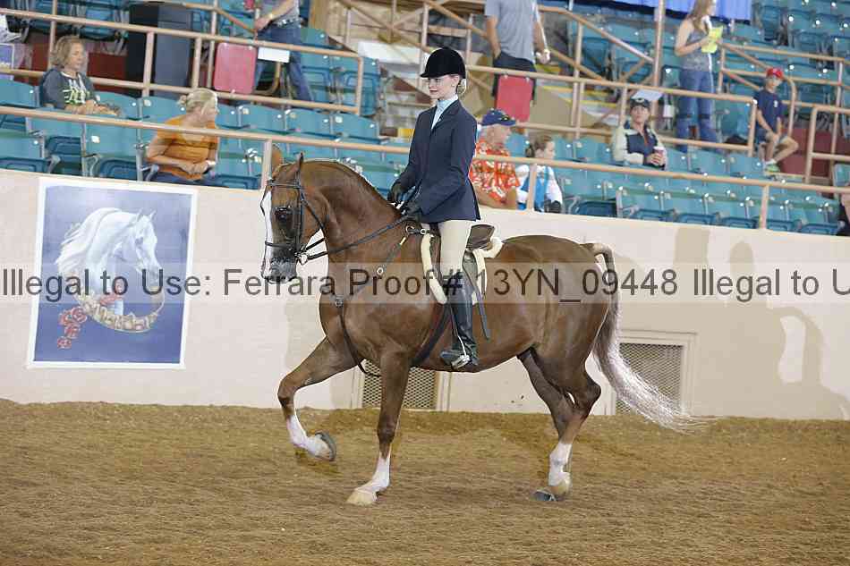 Proof 13yn_09448