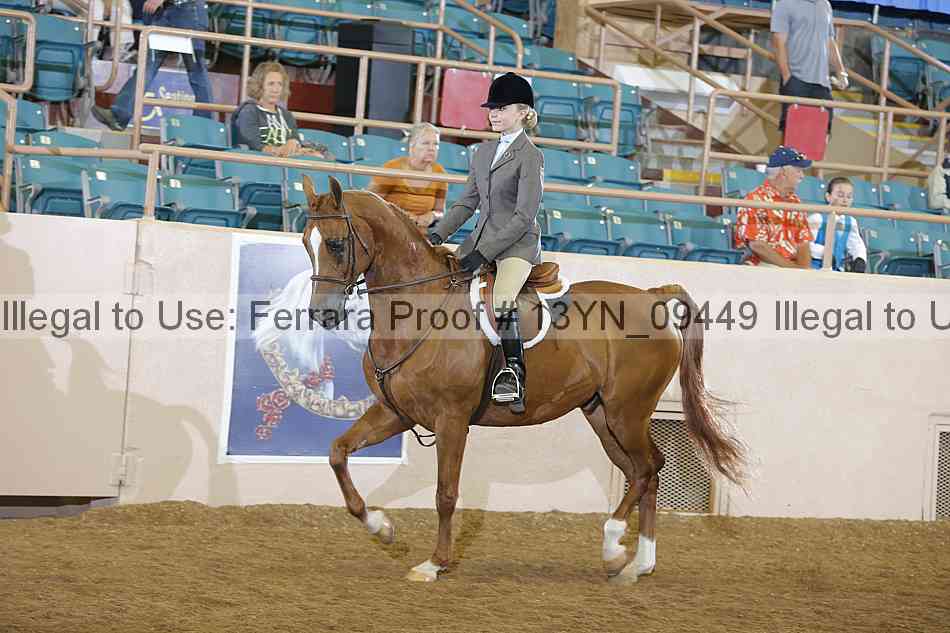 Proof 13yn_09449