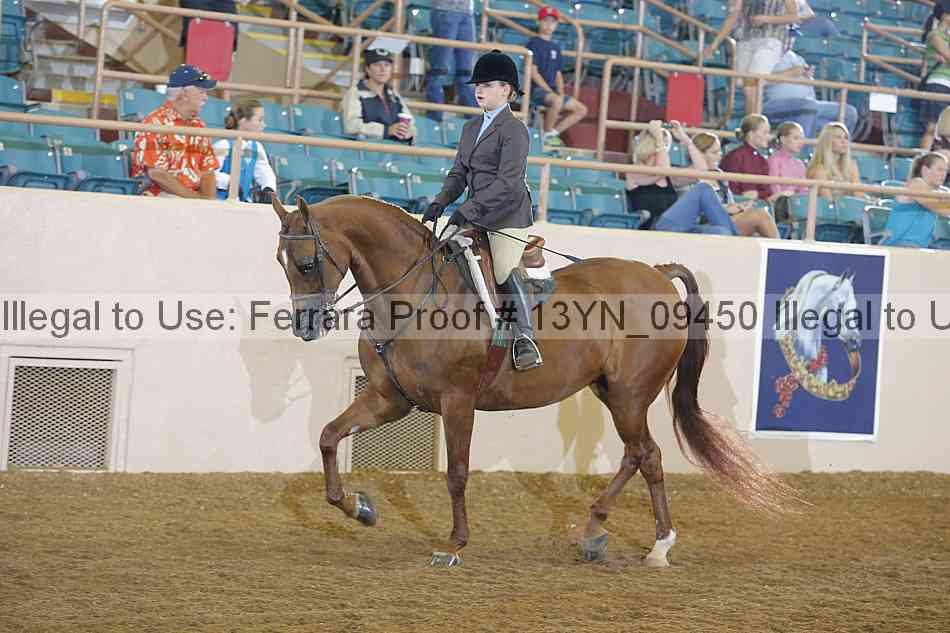 Proof 13yn_09450