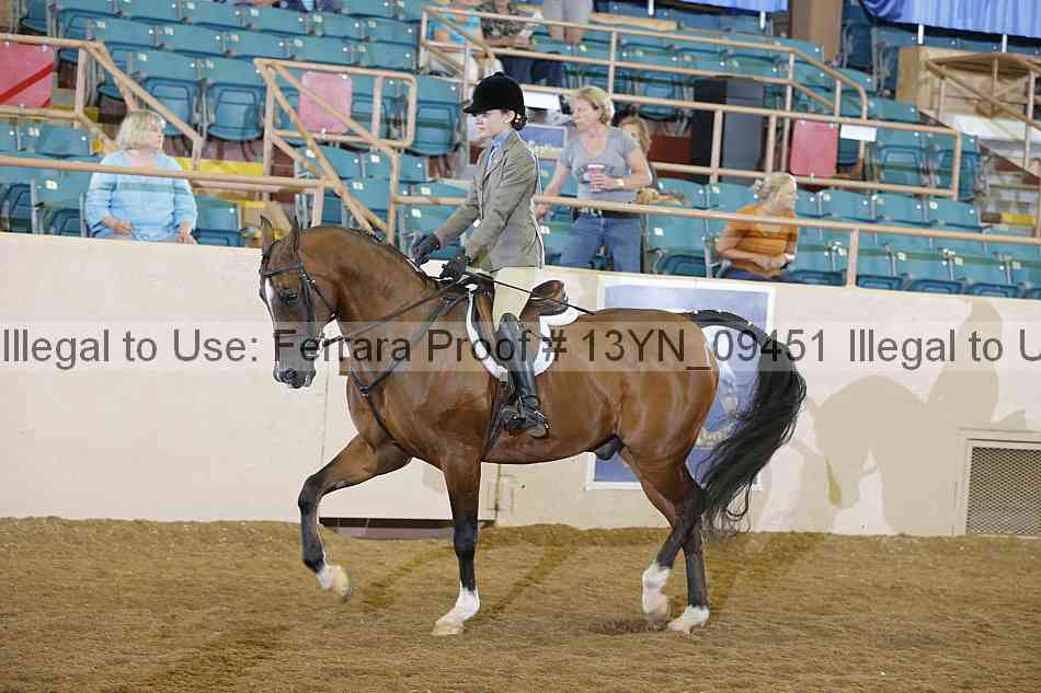 Proof 13yn_09451