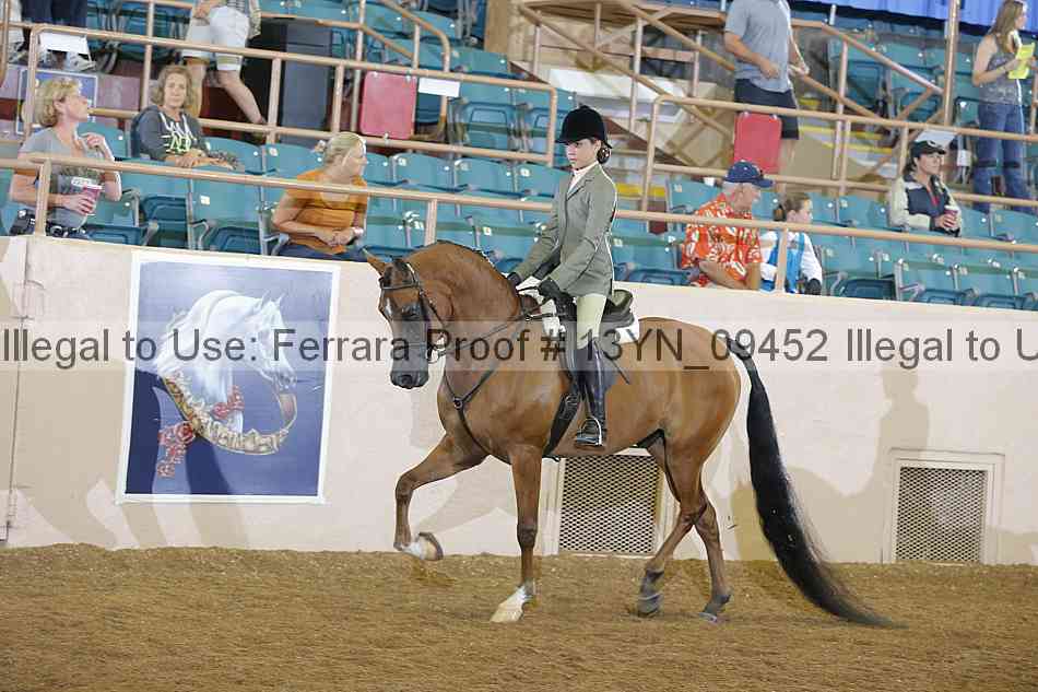 Proof 13yn_09452
