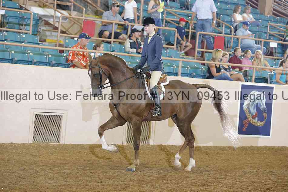 Proof 13yn_09453
