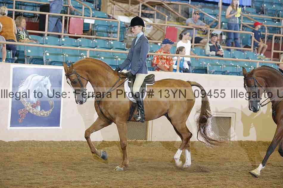 Proof 13yn_09455