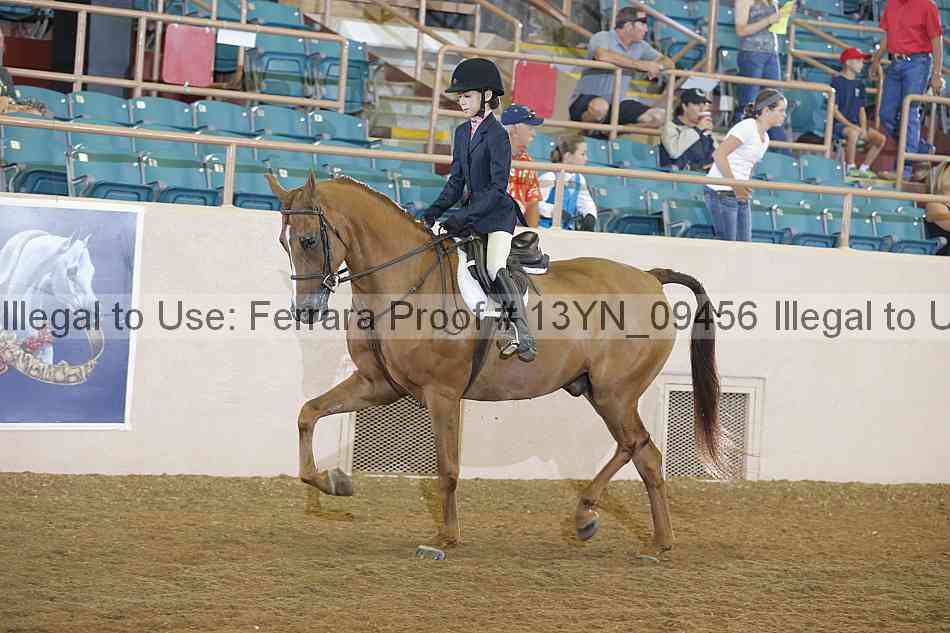 Proof 13yn_09456