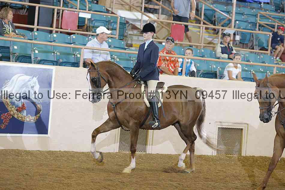 Proof 13yn_09457