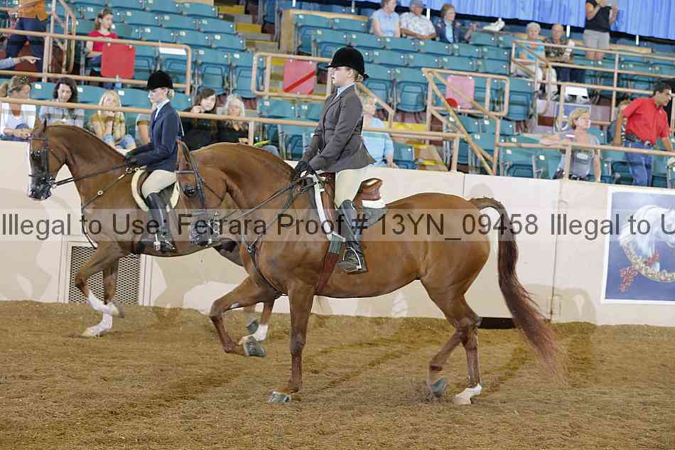 Proof 13yn_09458