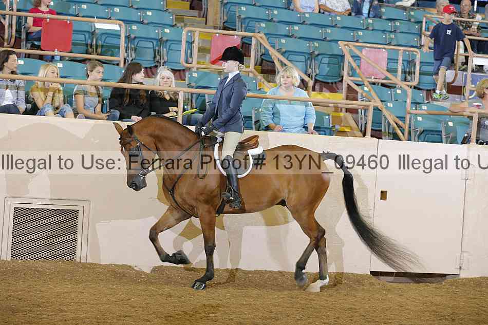 Proof 13yn_09460