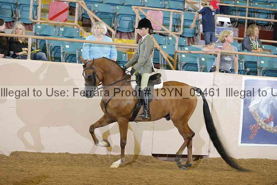 Proof 13yn_09461