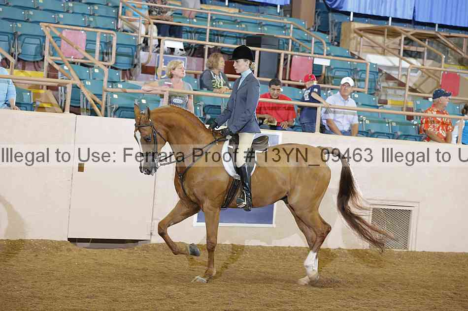 Proof 13yn_09463