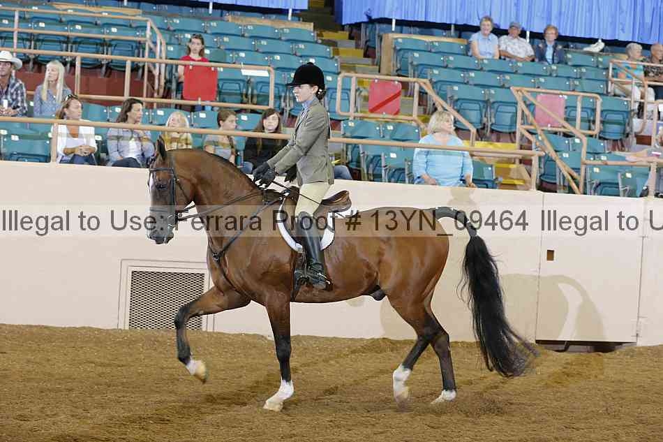 Proof 13yn_09464