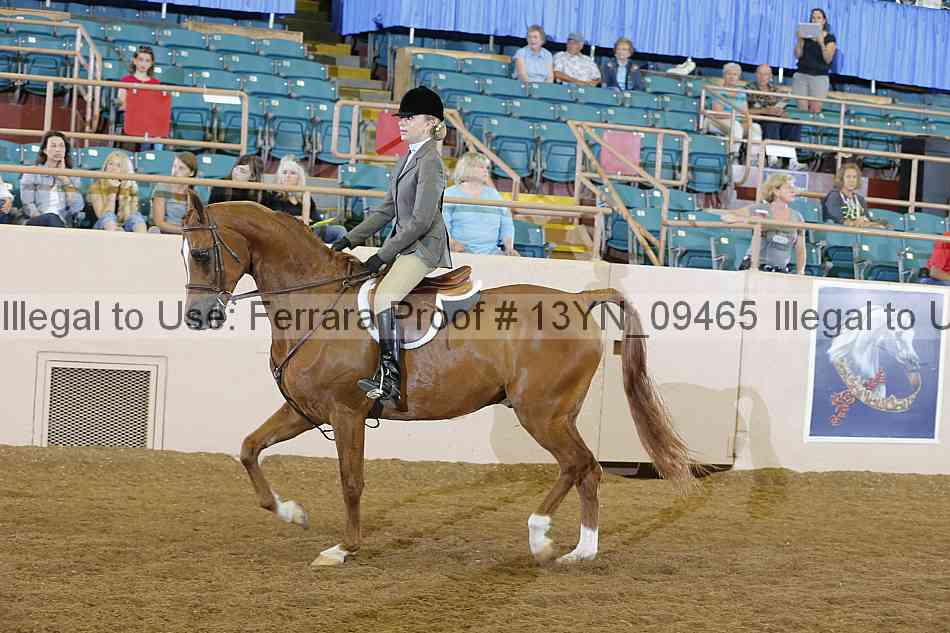Proof 13yn_09465