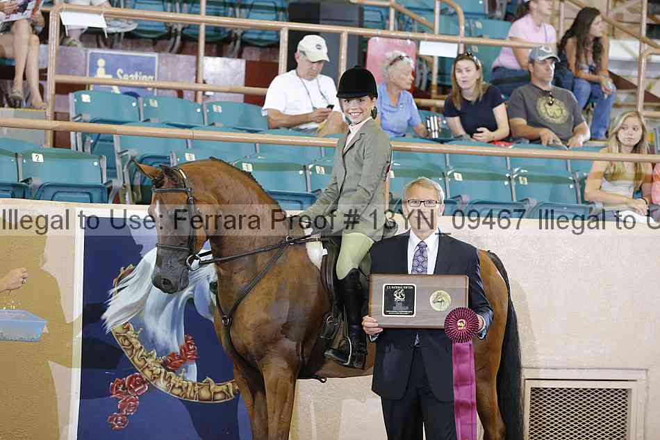 Proof 13yn_09467