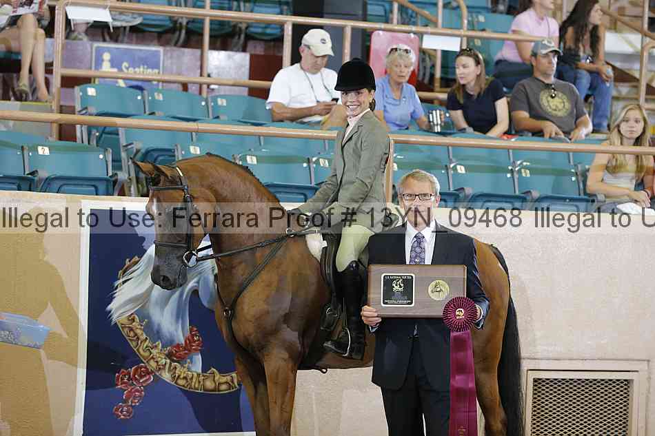 Proof 13yn_09468