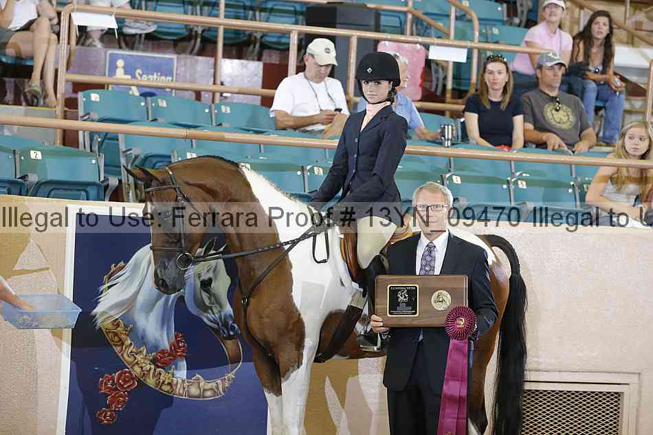 Proof 13yn_09470
