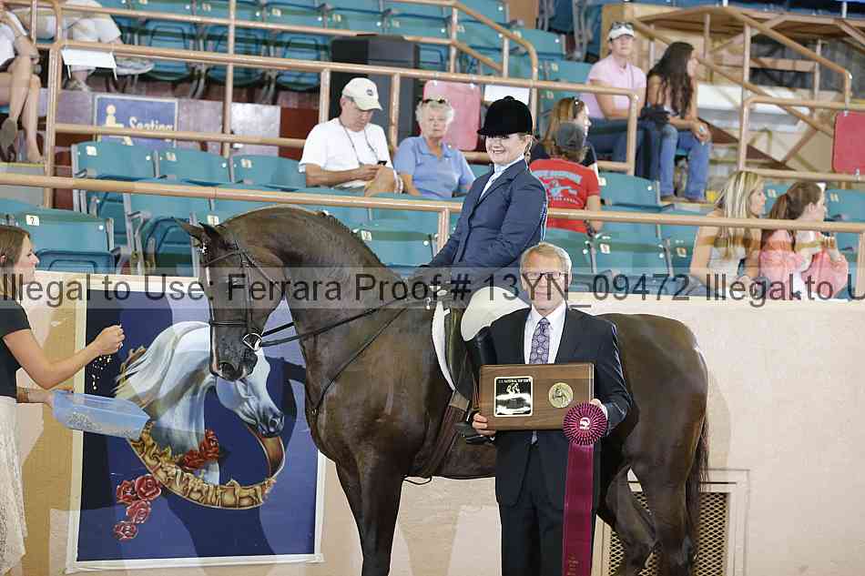 Proof 13yn_09472