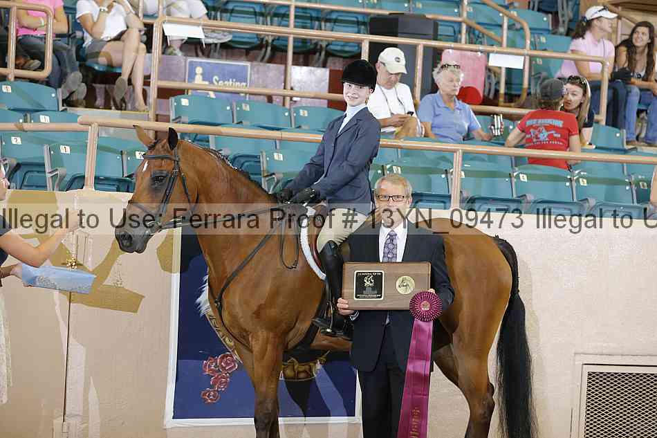 Proof 13yn_09473