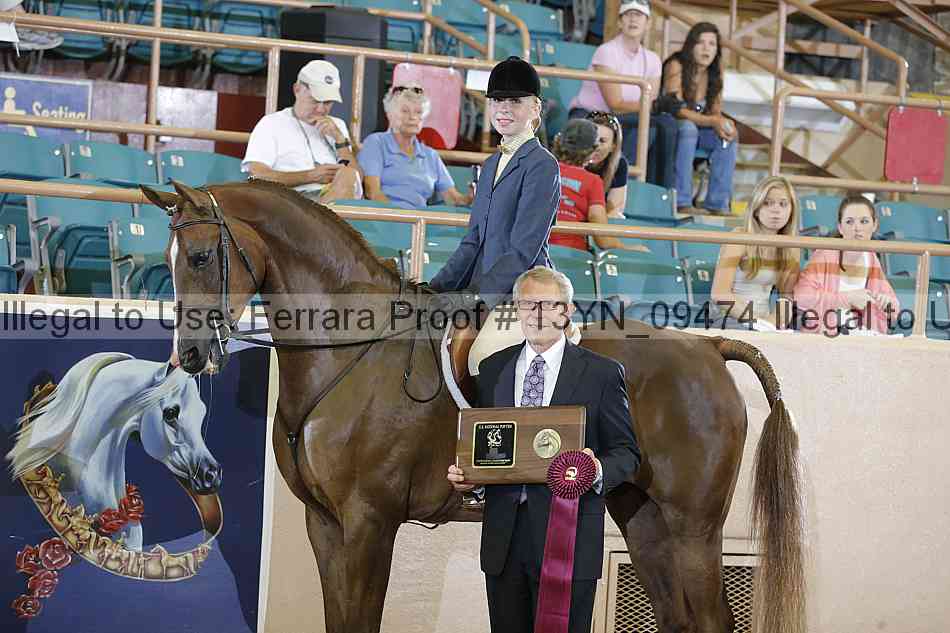 Proof 13yn_09474