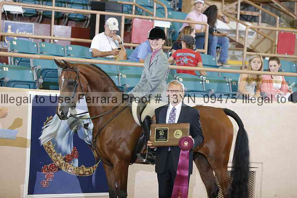 Proof 13yn_09475
