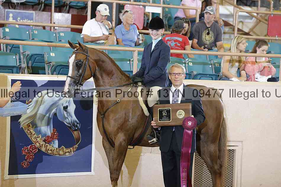 Proof 13yn_09477