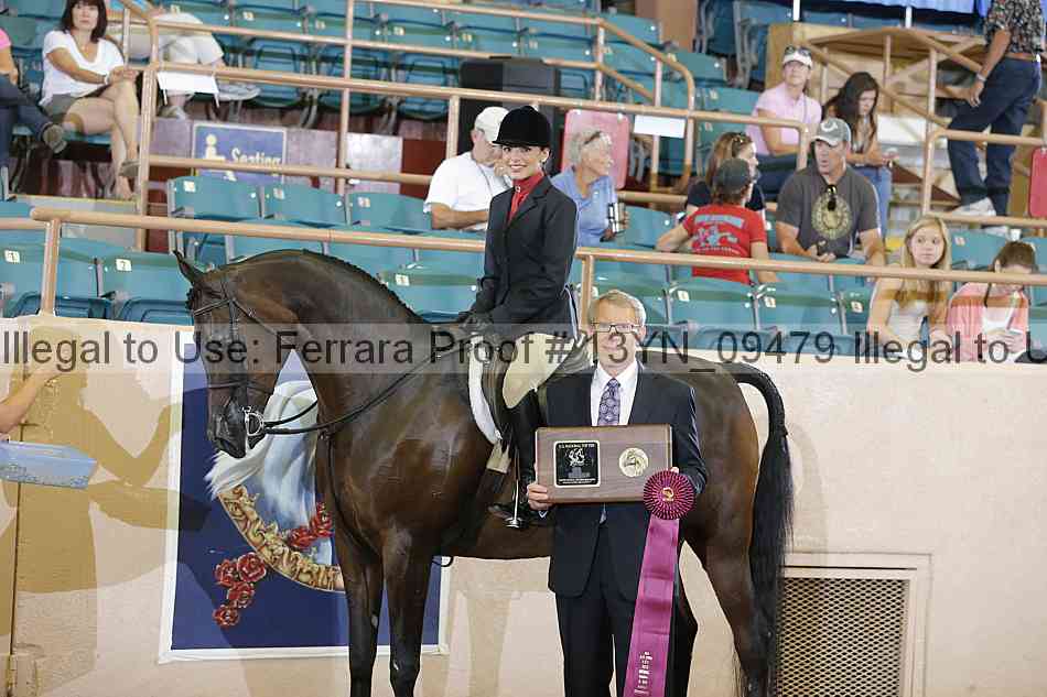 Proof 13yn_09479
