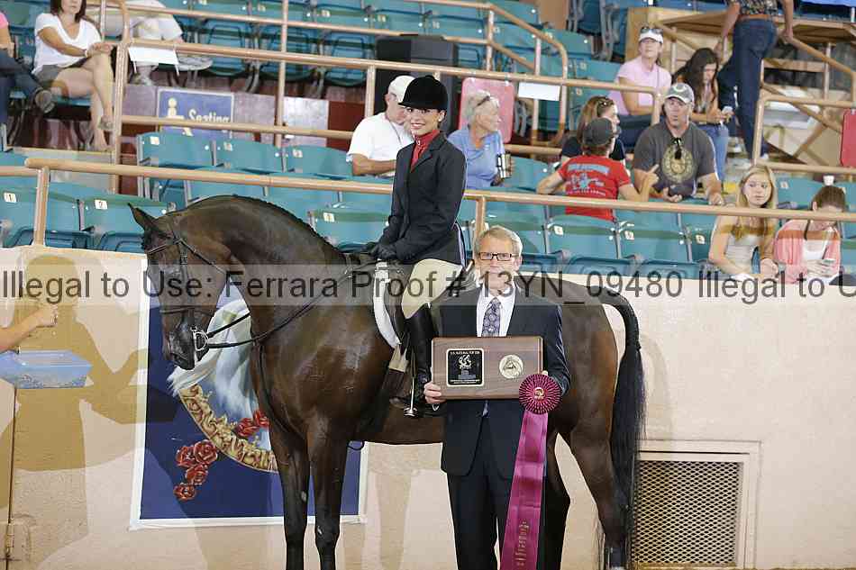 Proof 13yn_09480