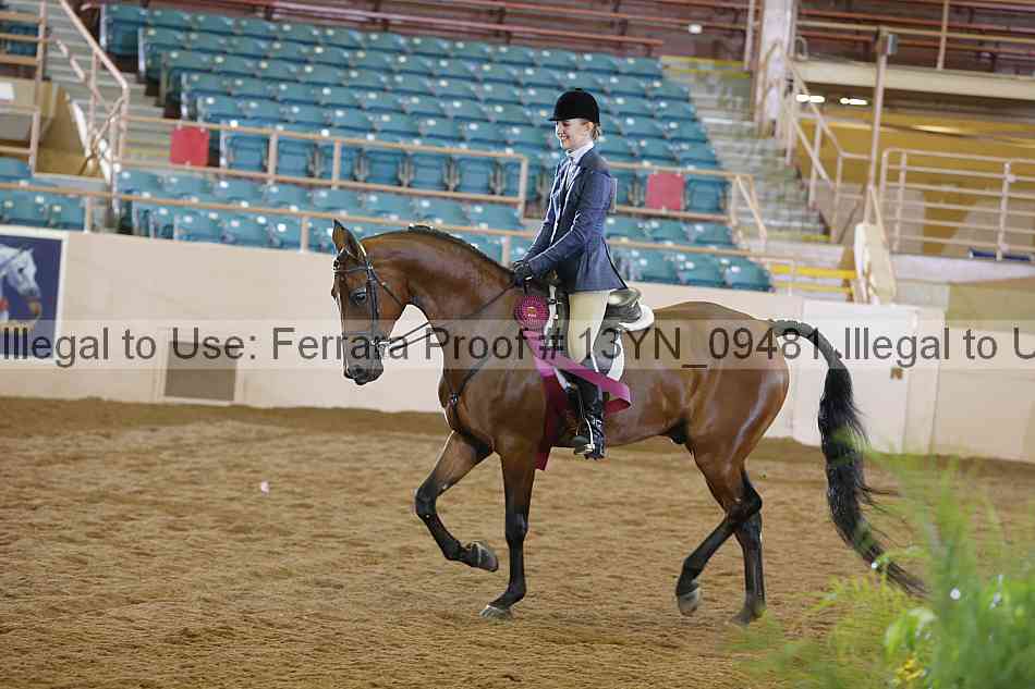 Proof 13yn_09481