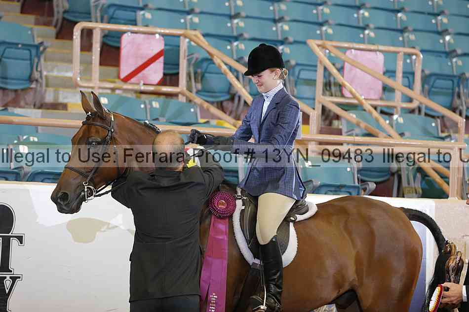 Proof 13yn_09483
