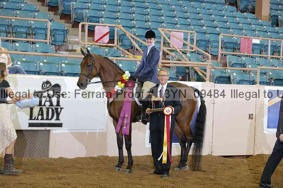 Proof 13yn_09484