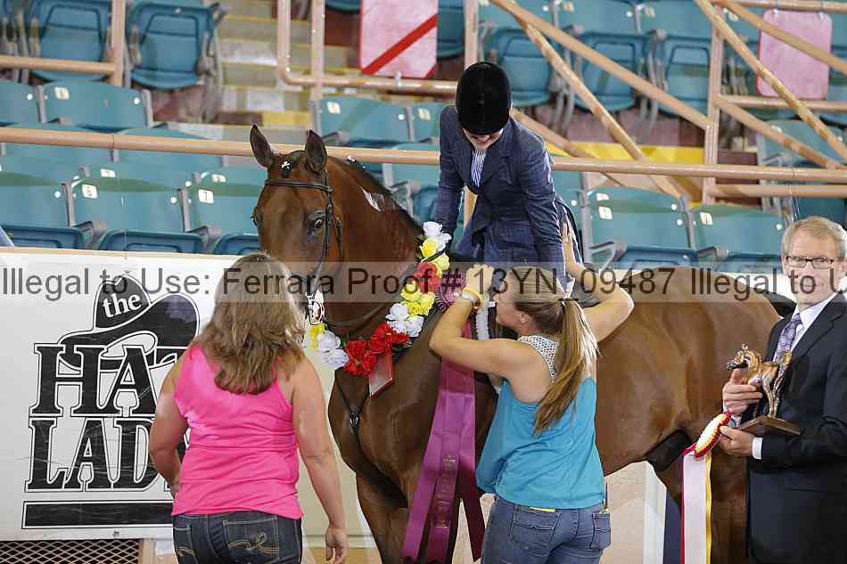Proof 13yn_09487