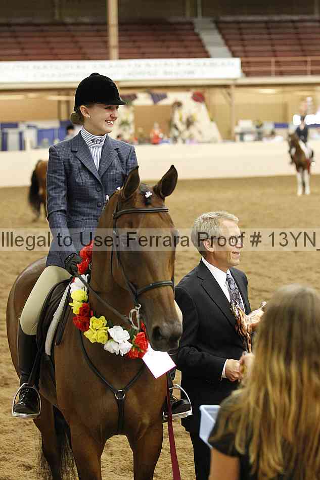 Proof 13yn_09489