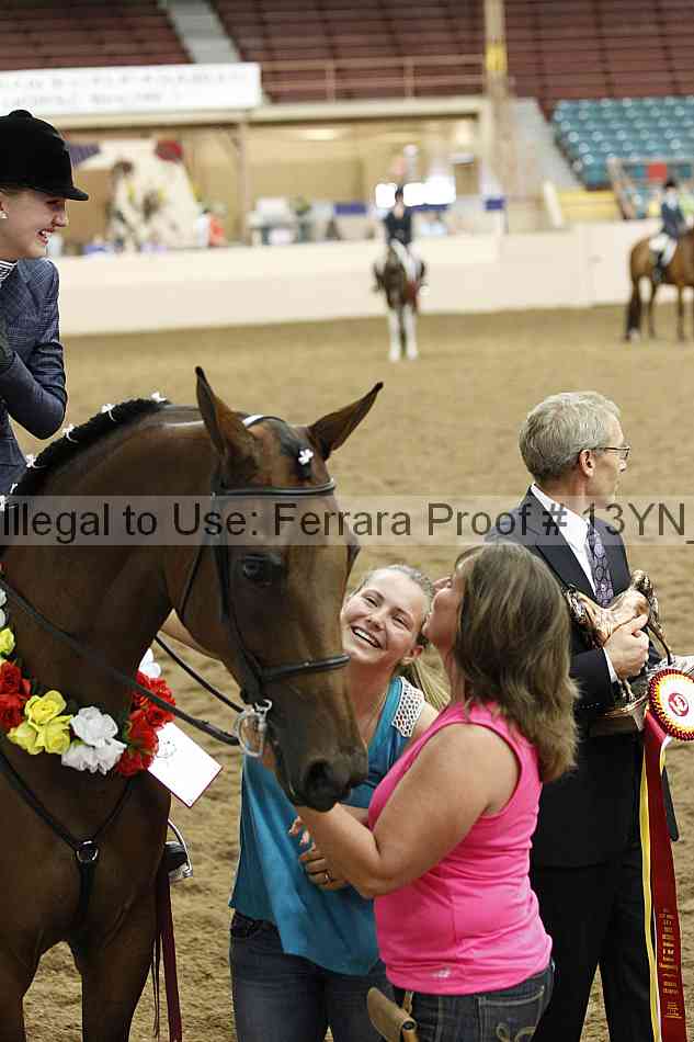 Proof 13yn_09493