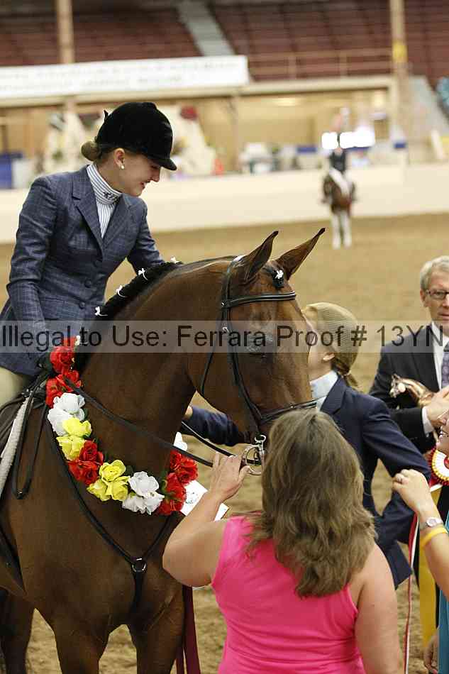 Proof 13yn_09495