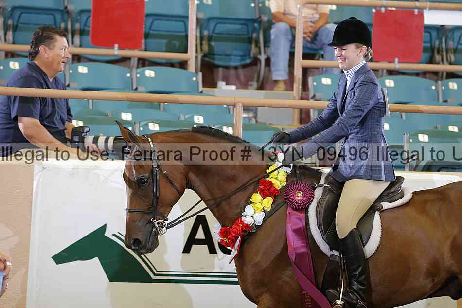 Proof 13yn_09496