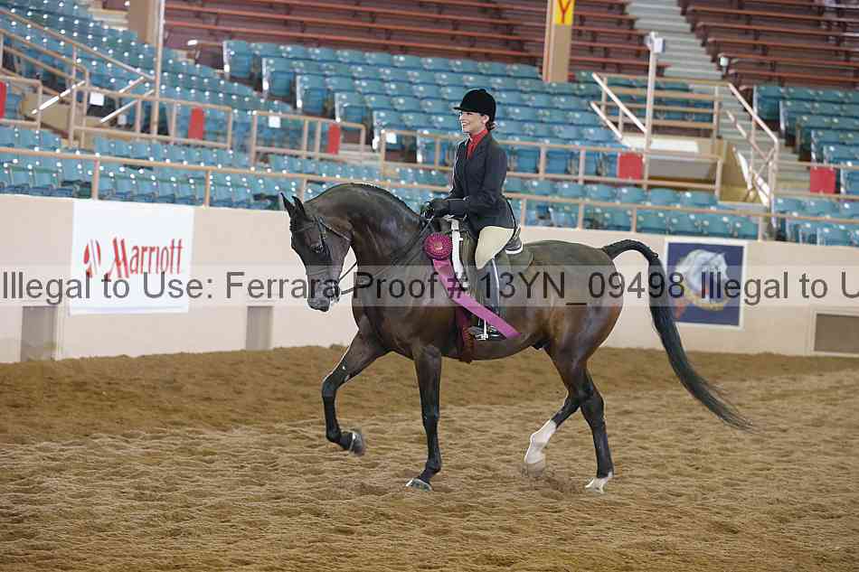 Proof 13yn_09498